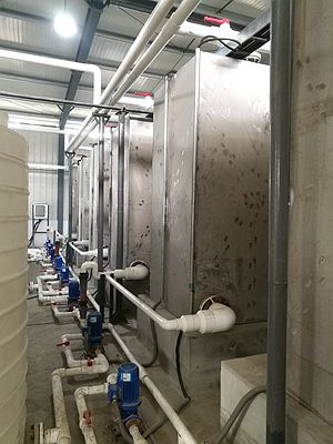 長沙湘麓環(huán)?？萍加邢薰?長沙湘麓臭氧機,長沙食品廠臭氧消毒機,長沙臭氧發(fā)生器,污水處理臭氧設備