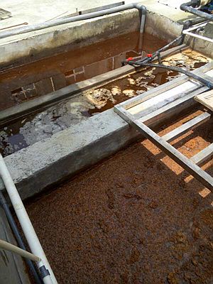 長沙湘麓環(huán)?？萍加邢薰?長沙湘麓臭氧機,長沙食品廠臭氧消毒機,長沙臭氧發(fā)生器,污水處理臭氧設備
